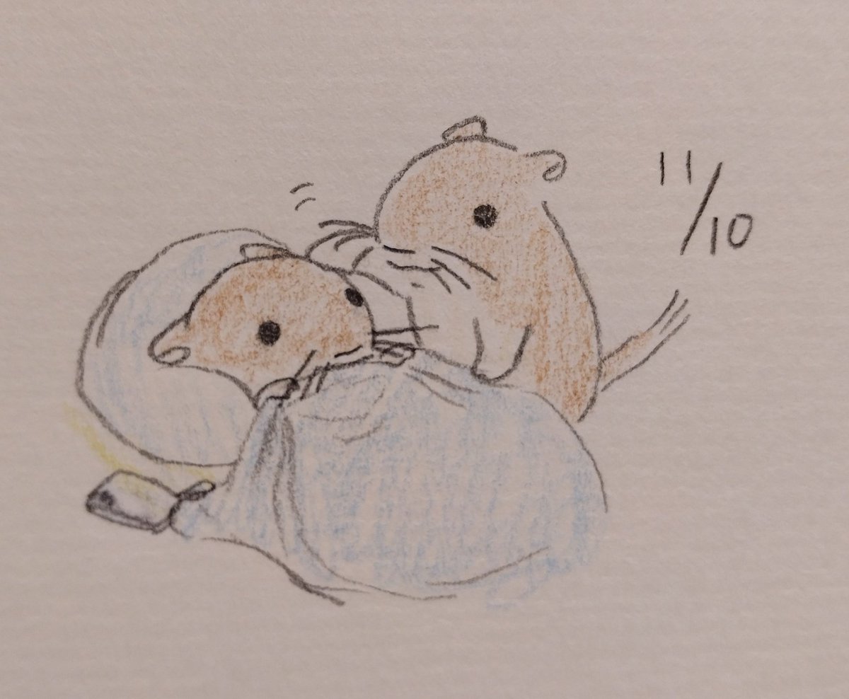 #今日の息抜きスナネズミ
寒いね。
無理しちゃダメ。