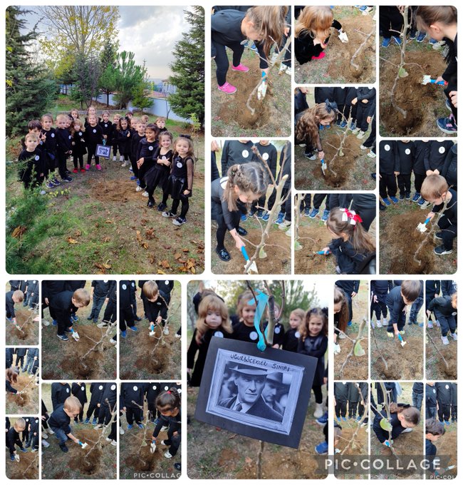 Multiple photos in a collage depict young children in black uniforms and pink shoes standing and kneeling on grass near a lake with pine trees in the background. Children and adults dig holes and plant small bare saplings using shovels. A close-up shows hands placing a sapling into soil. A framed black-and-white portrait of Mustafa Kemal Atatürk stands on the ground among the trees. The group poses together smiling outdoors under cloudy skies.