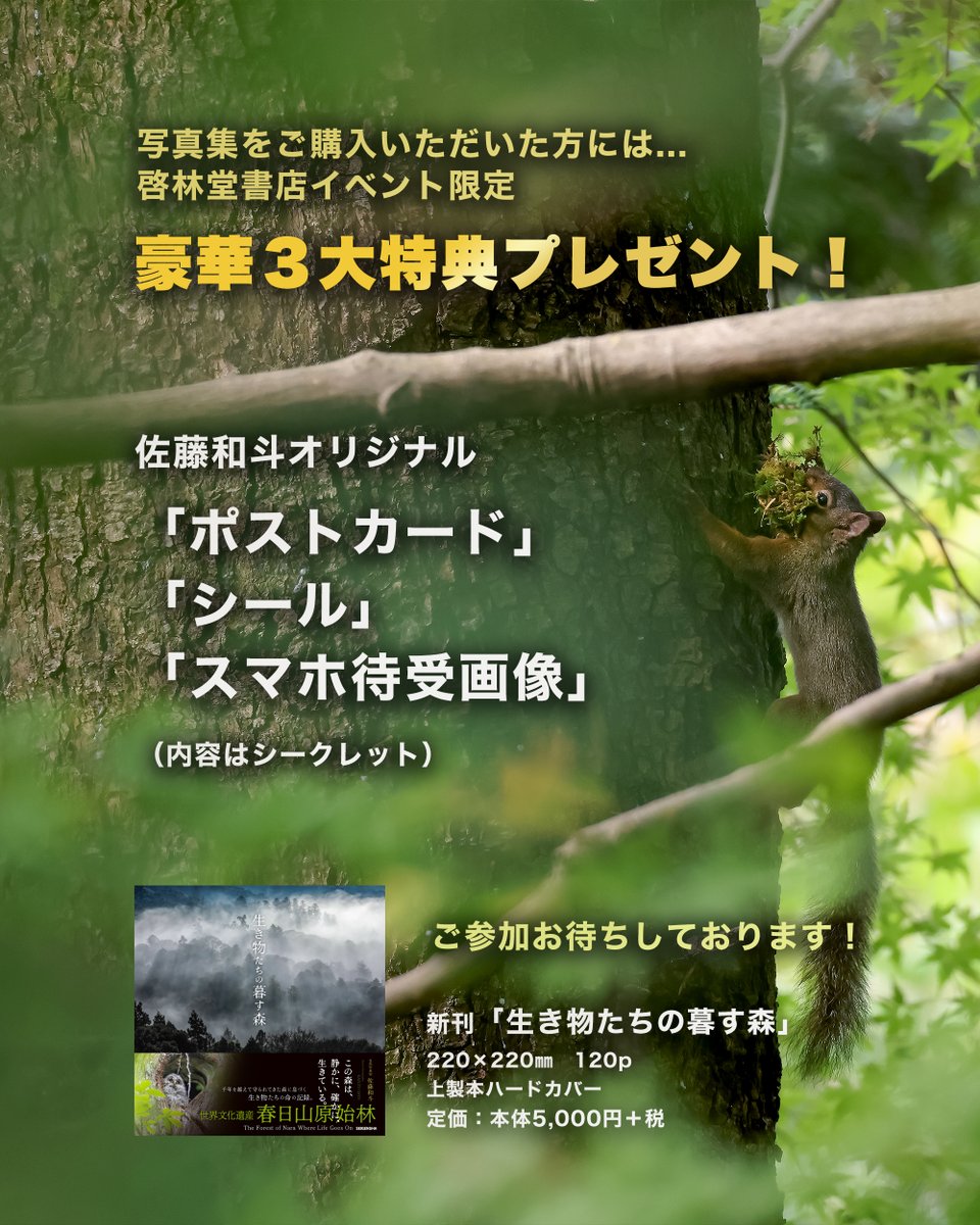レトロ　壁掛け　色紙　古材　春日杉材　奈良春日山原始林 レトロ 壁掛け 色紙 古材 春日杉材 奈良春日山原始林 レトロ壁掛け色紙