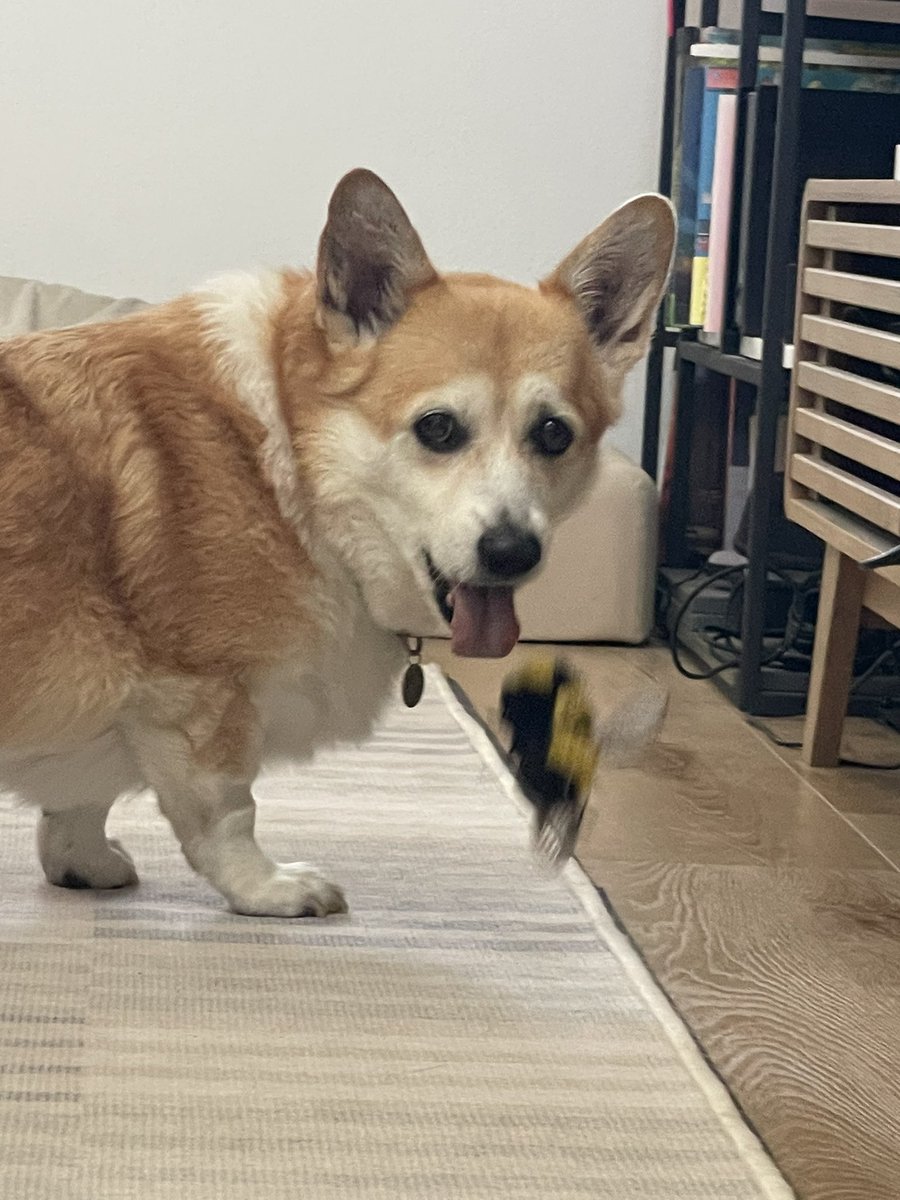 캡틴 일기 tweet media