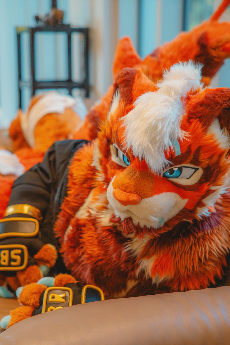 TigerHavoc's tweet image. 벌써 이번주가 퍼스트클래스 행사라니 믿기지가 않네!
부스에서 기다릴게! 

Can&apos;t believe the Furstclass event came so fast!
See you guys at the booth!
#FursuitEveryday #Fursuit