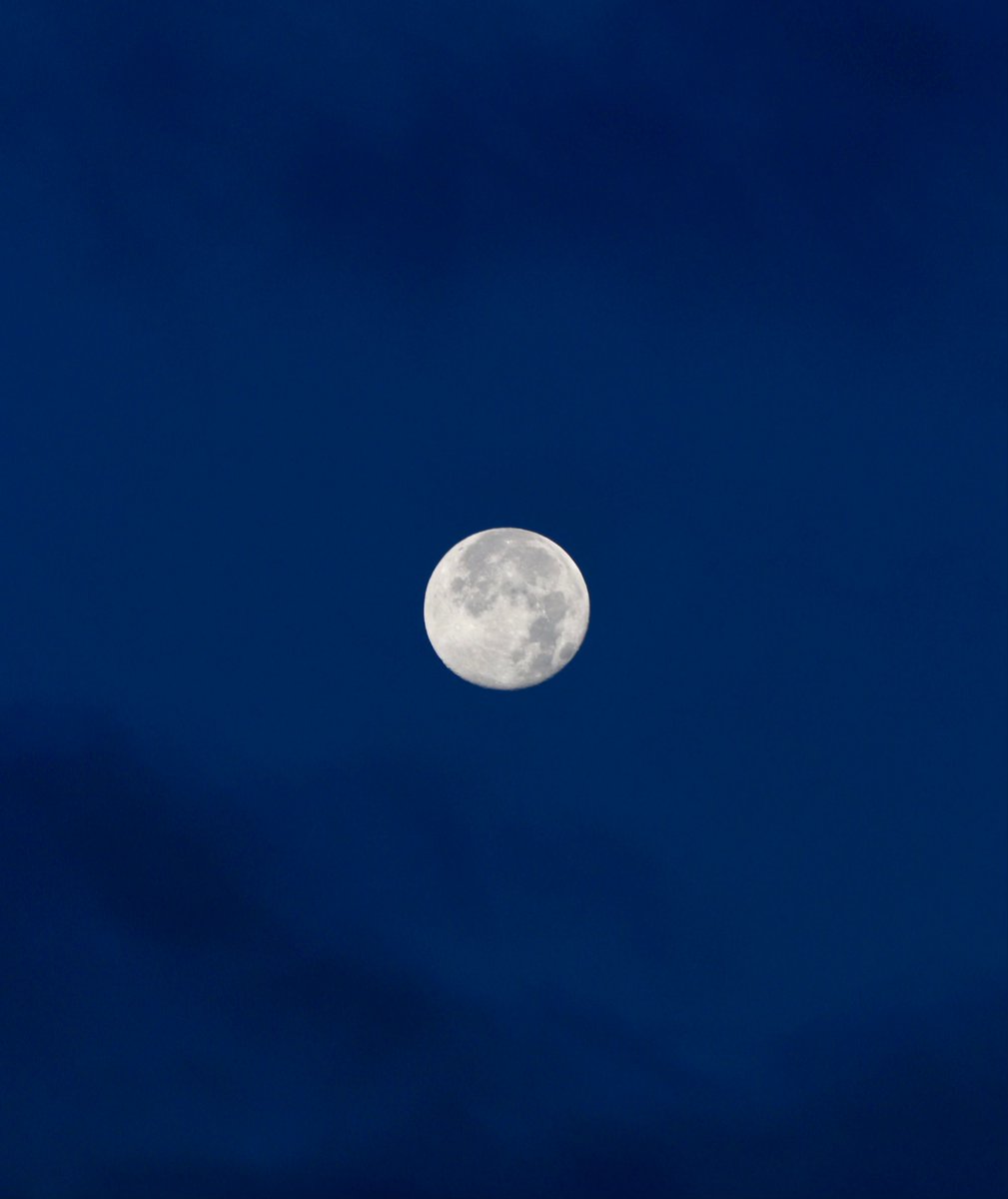 Shorelinearea's tweet image. WeatherWatcher: Very wet start to the month, with plenty more rain on the way
shorelineareanews.com/2025/11/weathe…