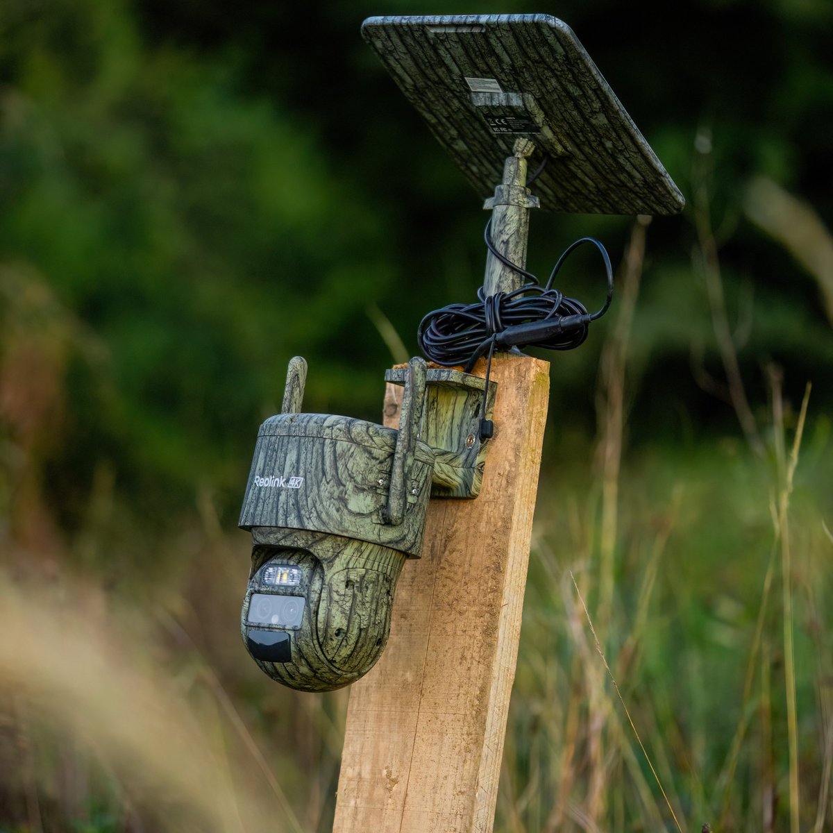ReolinkTech's tweet image. #𝗥𝗲𝗼𝗹𝗶𝗻𝗸 𝗧𝗿𝗮𝗰𝗸𝗠𝗶𝘅 𝗟𝗧𝗘-𝗖 | 𝗚𝗼 𝘄𝗶𝗿𝗲-𝗳𝗿𝗲𝗲. 𝗦𝘁𝗮𝘆 𝗰𝗿𝘆𝘀𝘁𝗮𝗹-𝗰𝗹𝗲𝗮𝗿.
Whether you’re overseeing a livestock enclosure, keeping an eye on a vacation cabin, or securing a country home in the woods, this camera gives you real‑time alerts, full‑area…