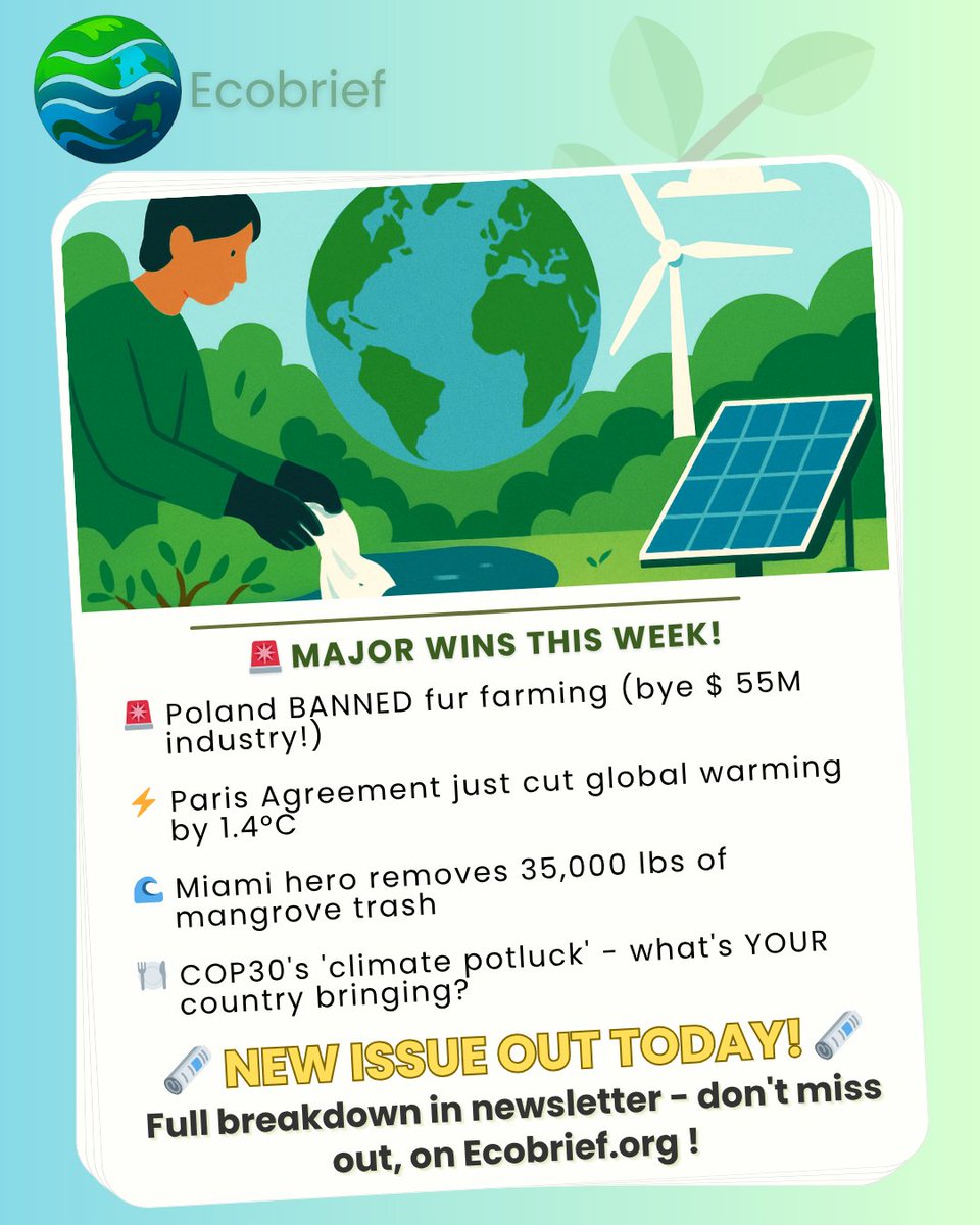 Ecobrief_'s tweet photo. 🚨 CLIMATE WINS ALERT: 
- Poland bans fur farming, 
- Paris Agreement cuts warming by 1.4°C, 
- Miami activist removed 35,000 lbs of mangrove trash

The planet is fighting back → Here's why COP30's "climate potluck" matters for your future 🌍

#ClimateWins #COP30 #Sustainability https://t.co/LTDqbEmLoH