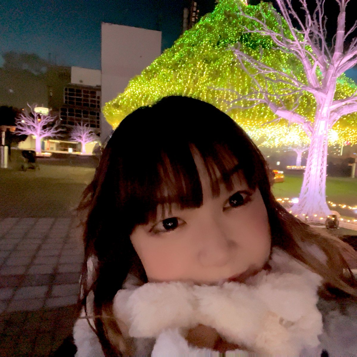 nomico_honey's tweet photo. 【LIVE出演のお知らせ】
11月29日（土）
東方LIVE BOX SP！
Alstroemeria Records枠で出演します

東京メガイルミは大好きでなんだかんだ毎年行ってるのでなんか不思議な気持ち
イルミネーションめちゃ綺麗だよー☺️

ライブもイルミネーションも楽しみに是非いらしてね✨

写真は昨年行ったメガイルミ https://t.co/7MafFSUHGs
