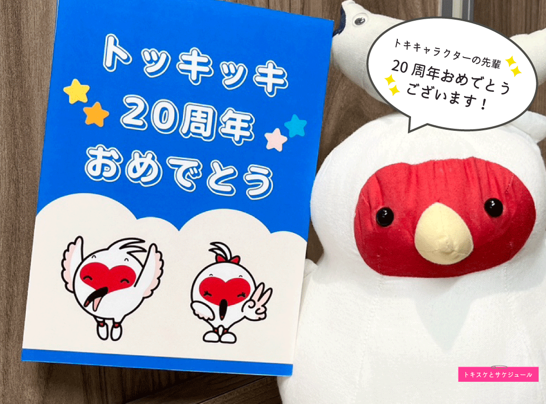 Dissue_dip's tweet photo. ＼✨トキキャラクターの先輩✨／ 
トッキッキ20周年おめでとうございます♪ 
トキスケとサケジュールも先輩の誕生日をお祝い中🎂🎈
これからも一緒に新潟を盛り上げていきましょう🙌🌟
#トッキッキ20周年 https://t.co/SynwWJFXSt