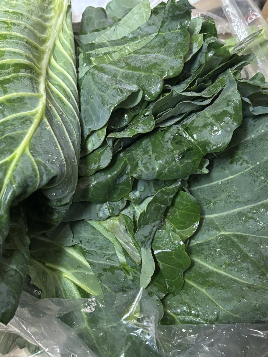 ししまる VCD Ninja Hattori-kun 1/1 Shishimaru