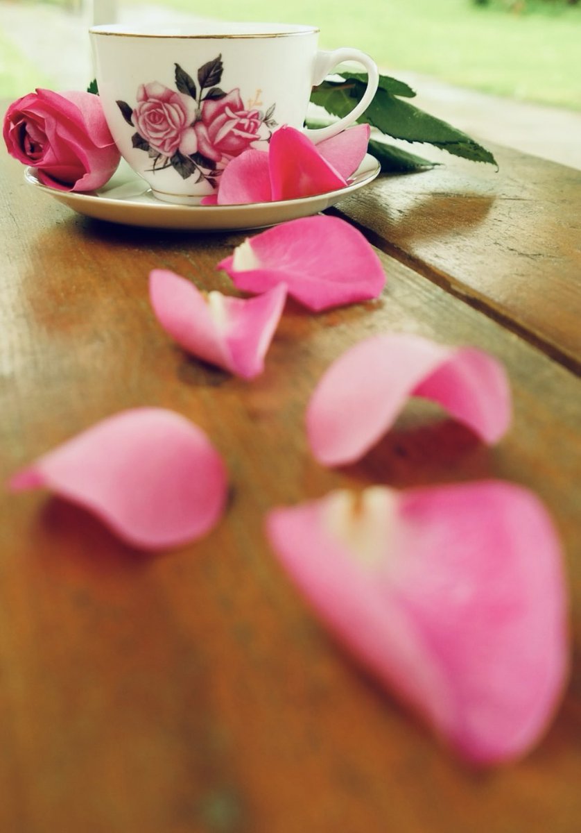 Hello dear  friend Bahir  Samir🪻🪻