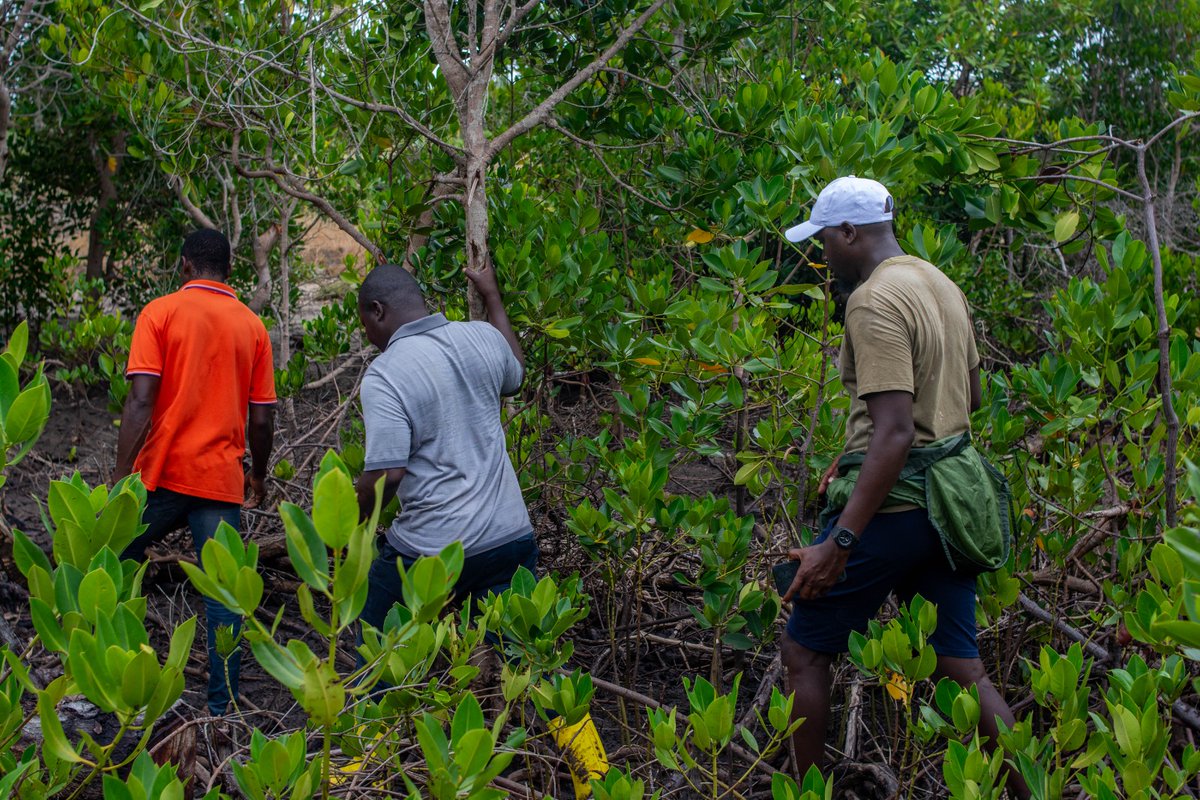 Community Based Environmental Conservation (COBEC) tweet media