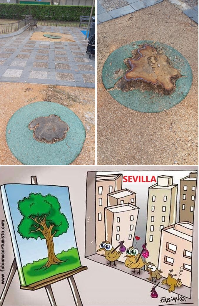 Los #Enemigos del #Arbolado de #PlazaDeLaConcordia son:
-El #ParkingSubterráneo.
-El nuevo #Hotel.
-Los presuntos #Técnicos de #ParquesYJardines, <a href="/MariaLuisaPYJ/">Maria Luisa Iglesias de la Cueva</a> y <a href="/eveliarincon/">Evelia Rincón</a>. Saben que los hermetizadores/selladores en los #Alcorques de los #Árboles, los hacen enfermar y morir.