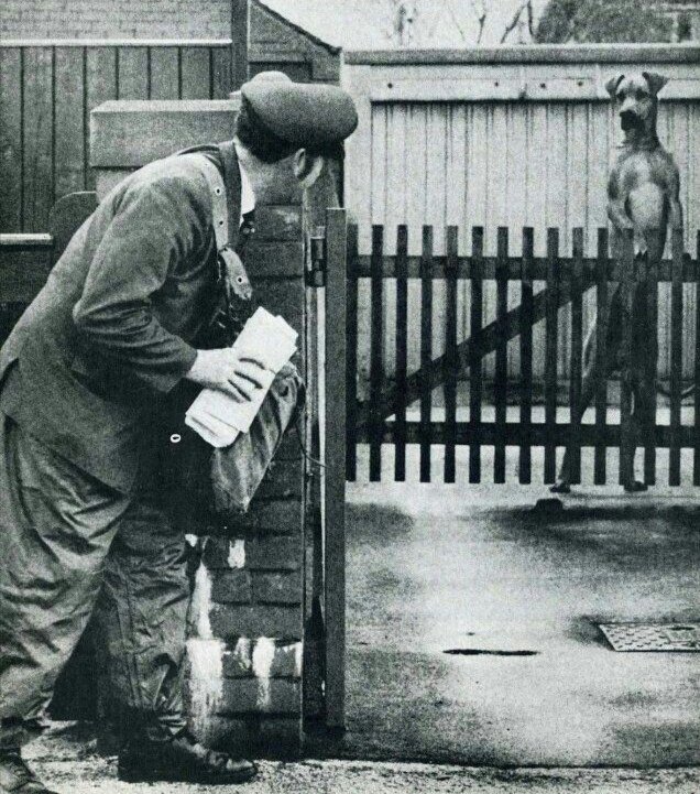 #SomeOddThingsIDo

Is trying to gauge Fido's mood to see if I need a biscuit or a stun gun.