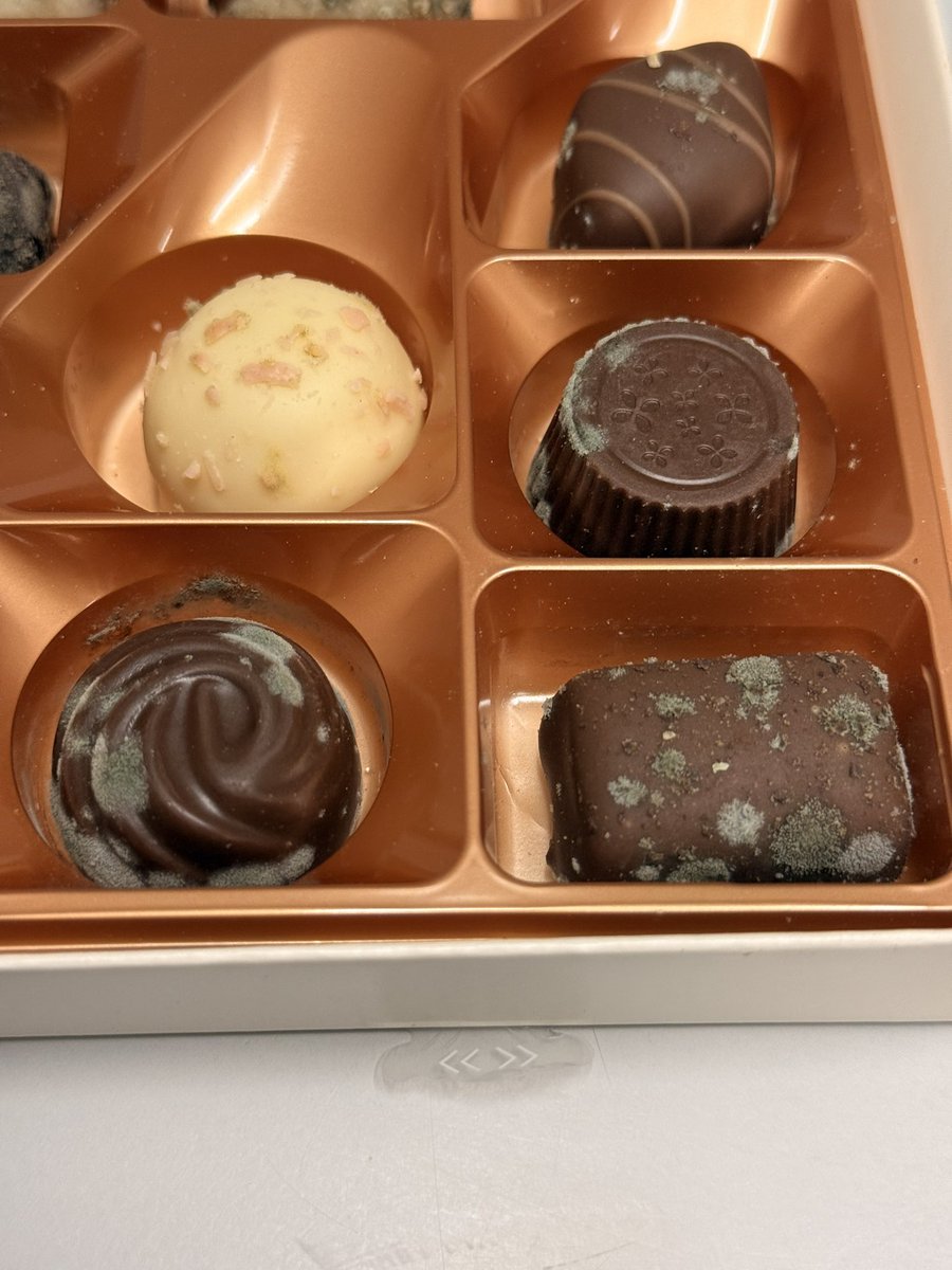 hello_its_chlo's tweet photo. @thorntonschocs I work in a very busy ward in a hospital, and a lovely, grateful patient gifted us a huge box of Thorntons. We were so excited to open them until we noticed they’re absolutely plastered in mould 😢 still in date by a few months but we were all gutted 💔 https://t.co/jKkJjFZxZw