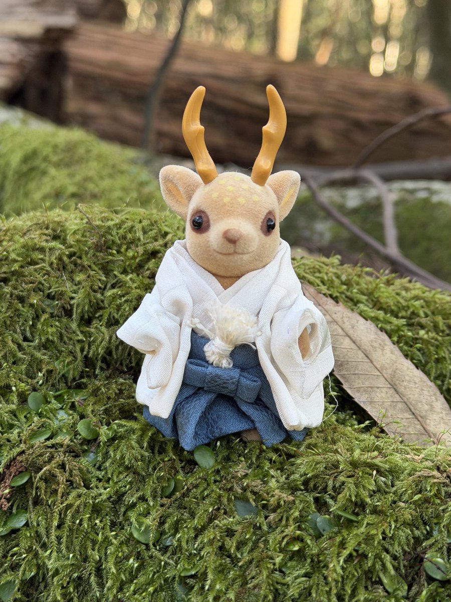 𐂂 チブ鹿ドグマー𐂂 🌿🦌🪷🇯🇵⛩️ (@padmeganga) / Posts / X