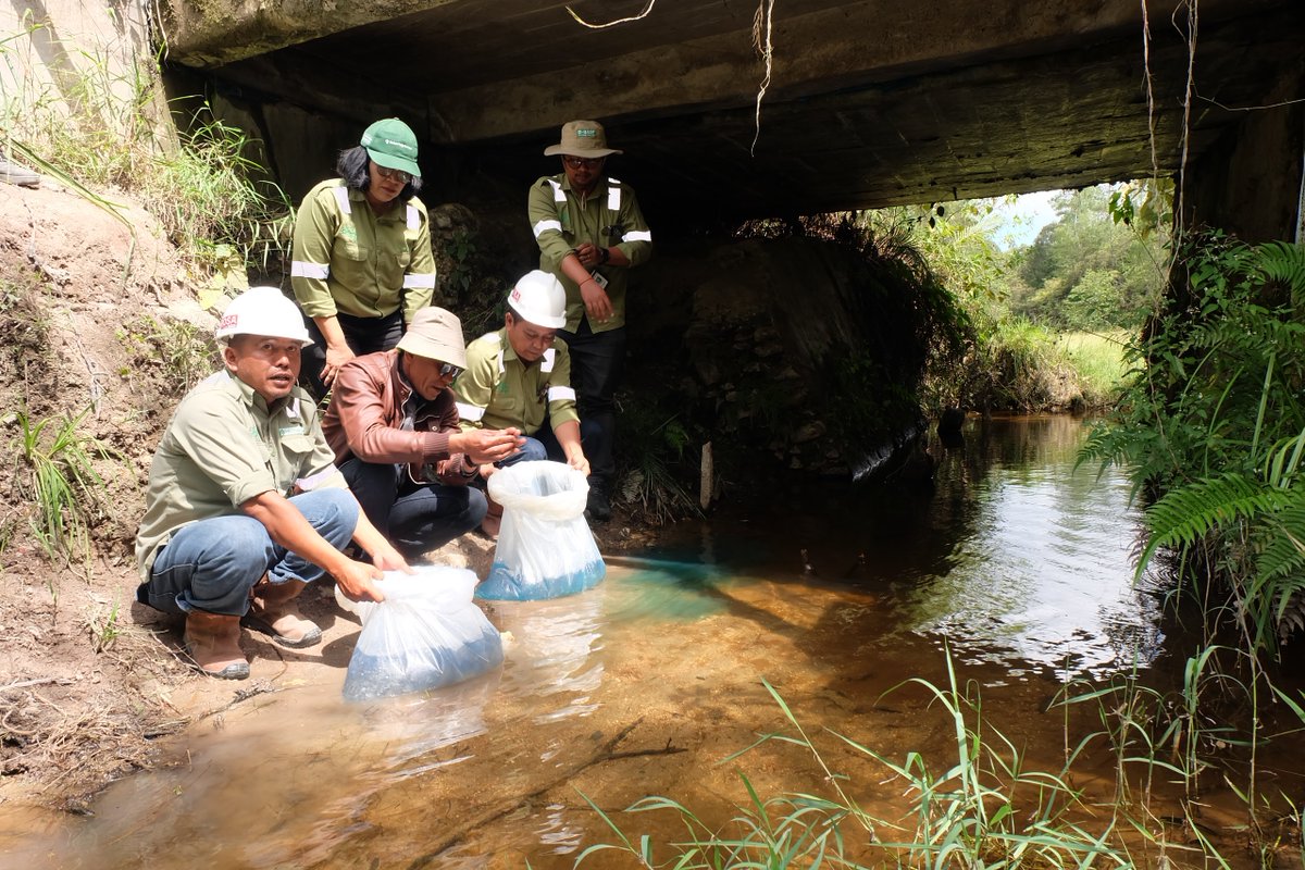tobapulp_id's tweet photo. TPL Jaya!

Toba Pulp Lestari terus berkomitmen menjaga kelestarian alam, khususnya ekosistem air di kawasan lindung sekitar area operasional perusahaan. 

https://t.co/f7SRH3Y5JE

#TPLJaya
#TobaPulpLestari
#TPLHadirBerkontribusi https://t.co/rhDjGp7Hme