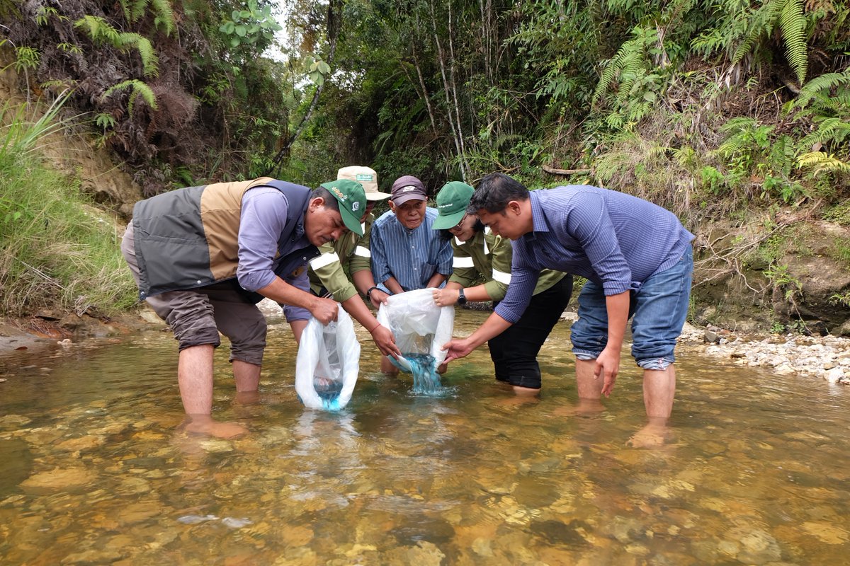 tobapulp_id's tweet photo. TPL Jaya!

Toba Pulp Lestari terus berkomitmen menjaga kelestarian alam, khususnya ekosistem air di kawasan lindung sekitar area operasional perusahaan. 

https://t.co/f7SRH3Y5JE

#TPLJaya
#TobaPulpLestari
#TPLHadirBerkontribusi https://t.co/rhDjGp7Hme