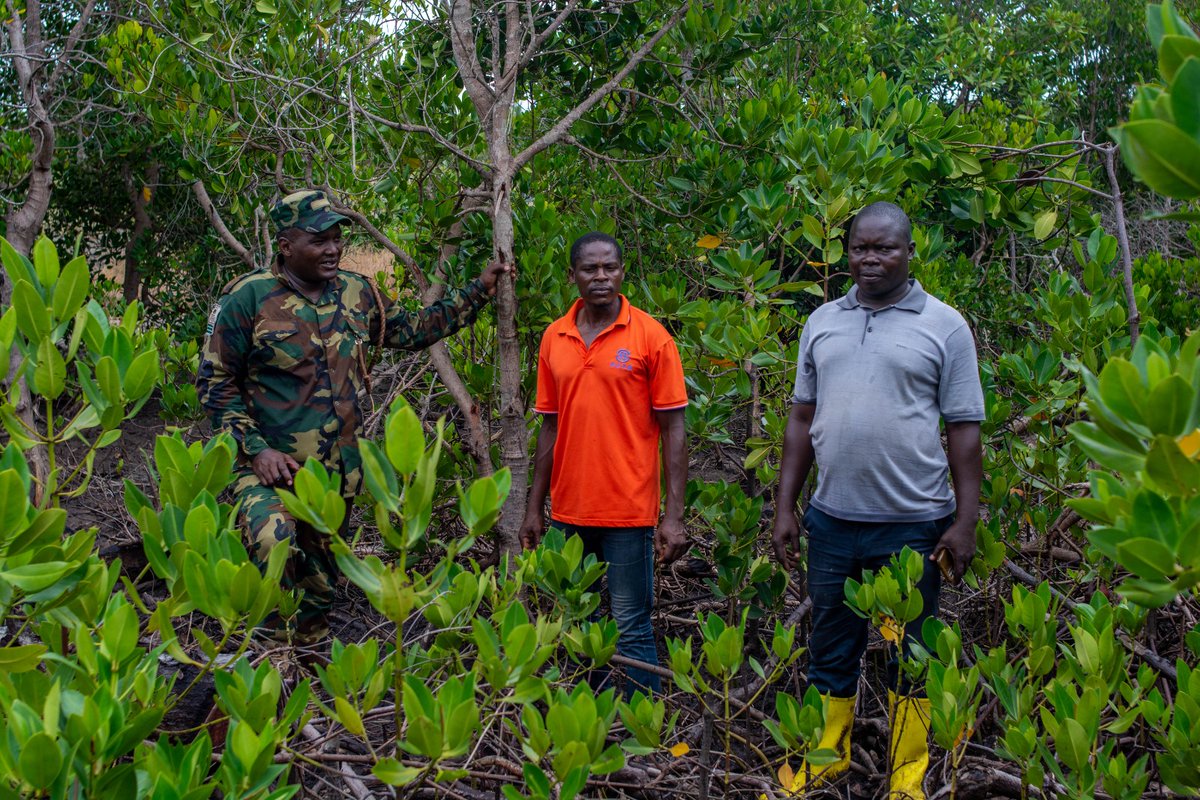 Community Based Environmental Conservation (COBEC) tweet media