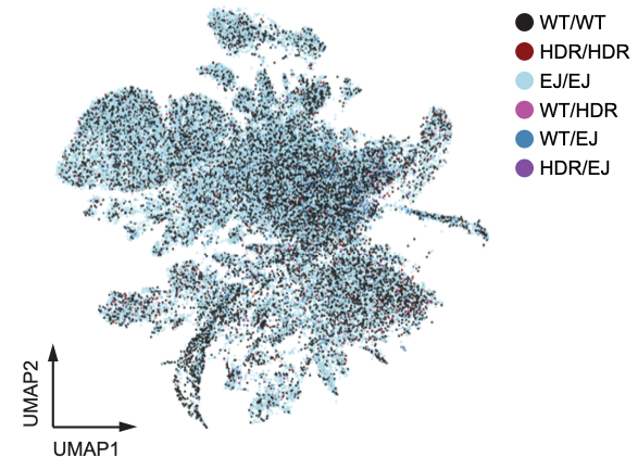 Jacob Corn tweet media
