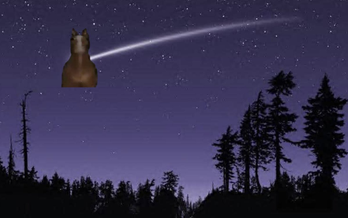 just pure memes , organic vibin communities , just a $horse in an air vent 🐴

E5UdugdLvgsccqe3pdq1ivNBTZhaxwthjvnE85Kzpump