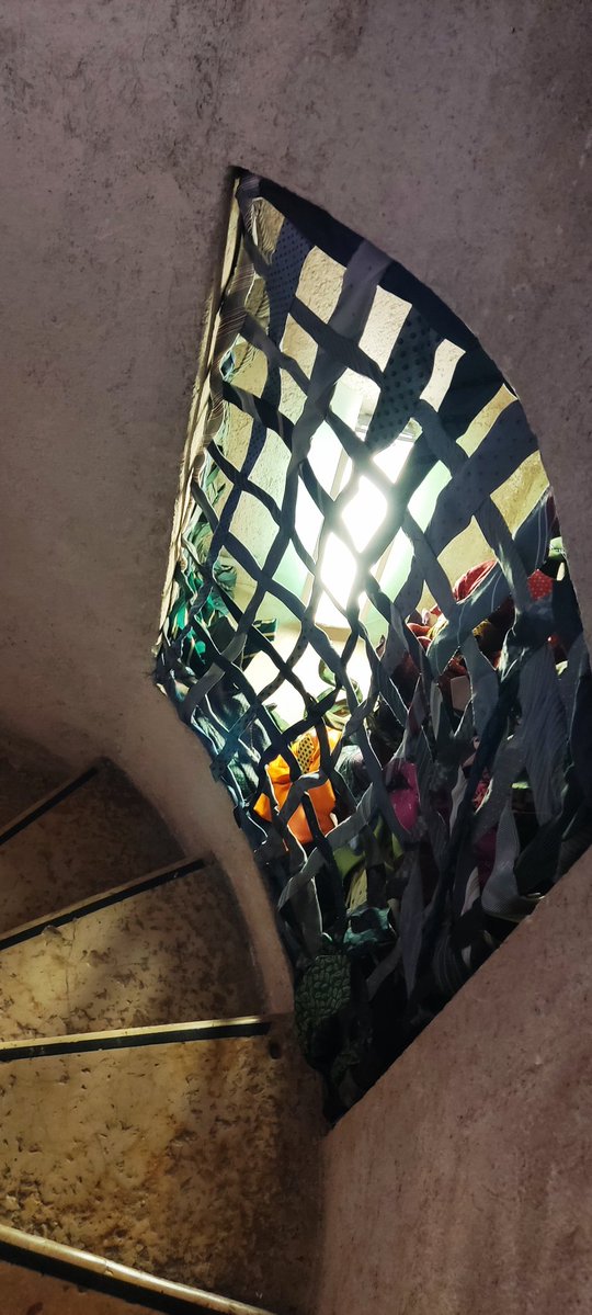 carlanna35's tweet image. Nessuna prigione può trattenere la luce.
#buon 
#giorno 
#lunedi