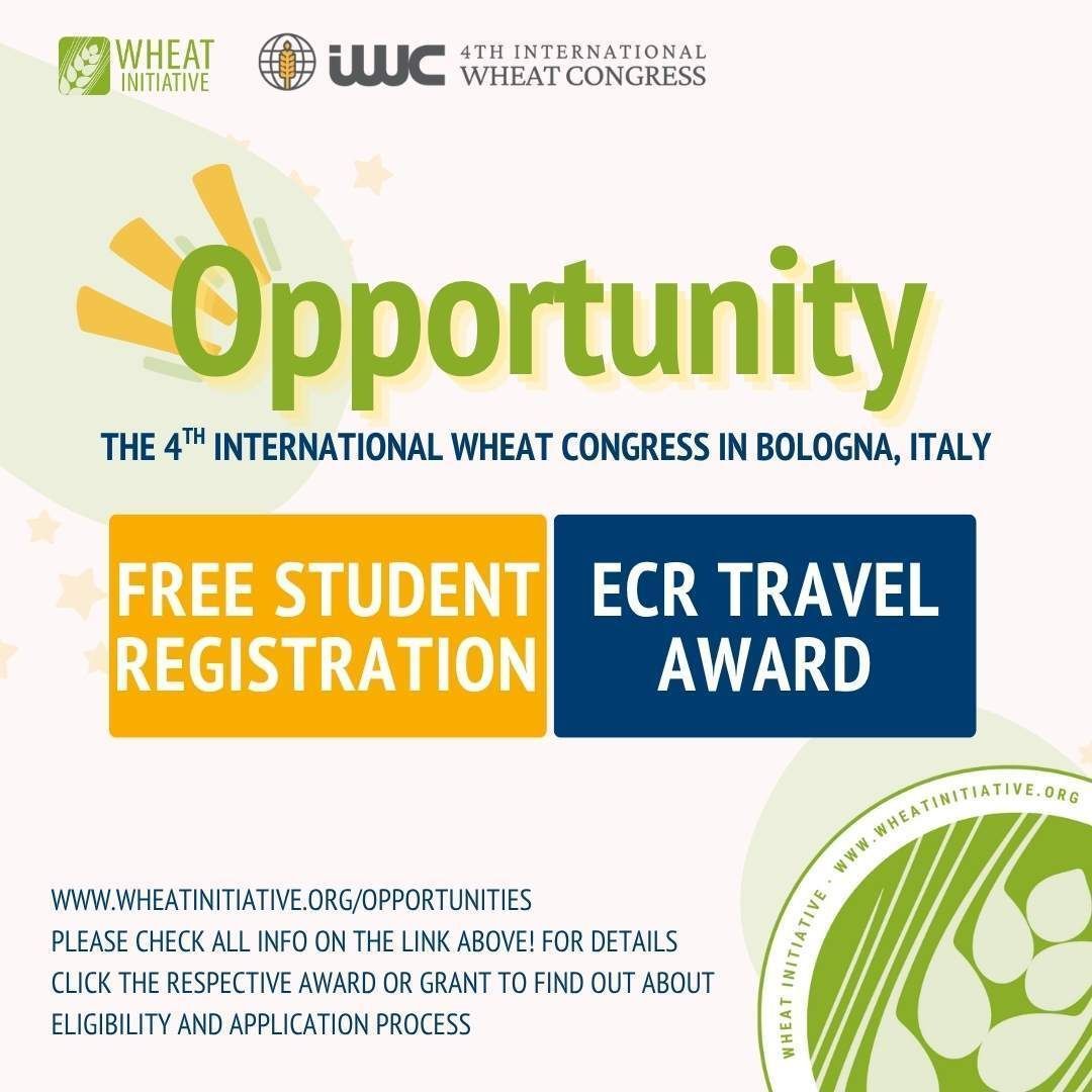 WheatInitiative's tweet image. 🌾 Exciting news from the Wheat Initiative! 
Free Student Registration + Travel Awards for Early Career Researchers to attend #IWC2026Bologna 🇮🇹
Apply by 30 Nov 2025 → wheatinitiative.org/opportunities

#WheatConnect #IWC2026 #ECR #PhD #IWC2024Perth