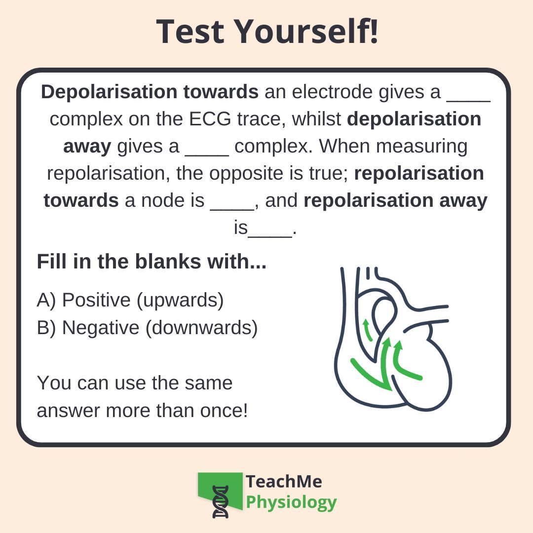 Physiology enthusiasts - Can you fill in the blanks? 💡
Place your answer in the comments ⬇️ then check out our article on Ventricular Action Potentials
shorturl.at/35aEn

Stay tuned for the next post for the answers 👀#TeachMePhysiology #physiology #education