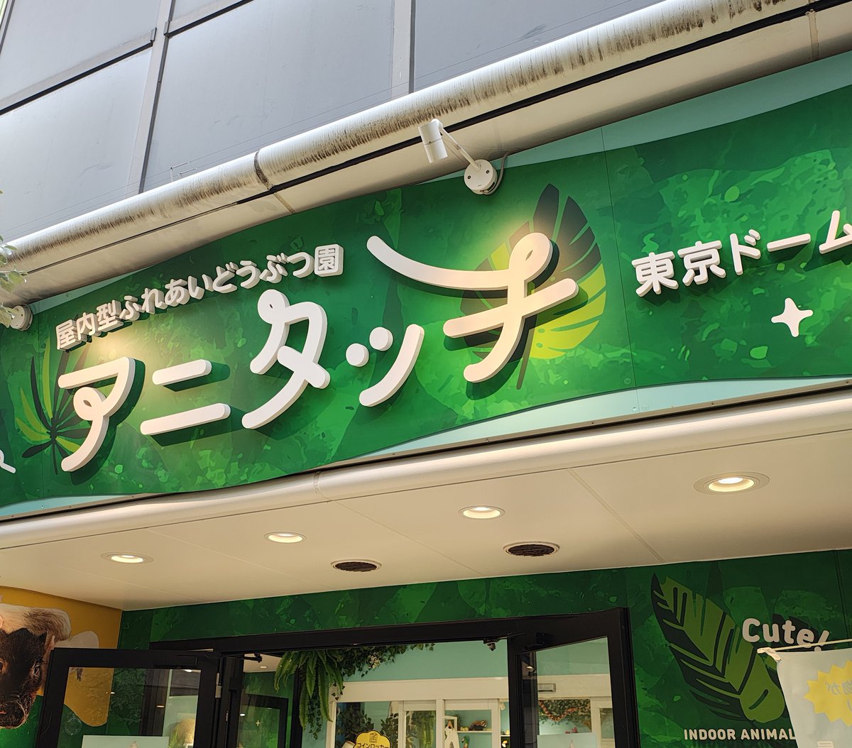 タカリナページ ち〜リナ on X