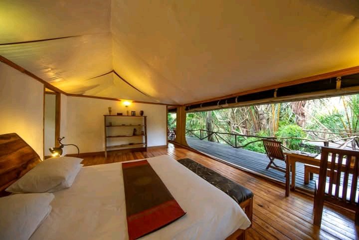 hillsafaris's tweet photo. 🌿 Pay 2 Nights, Stay 3 at Rhino River Camp! 🐘✨
🍂 Full Board: From Ksh 73,040 (Double) / Ksh 44,520 (Single)
🦁 Game Package: From Ksh 95,040 (Double) / Ksh 55,520 (Single)
📍 Meru National Park
📧 info.hillsafaris@gmail.com | ☎️ +254106870307 https://t.co/lsJG8i3weJ
