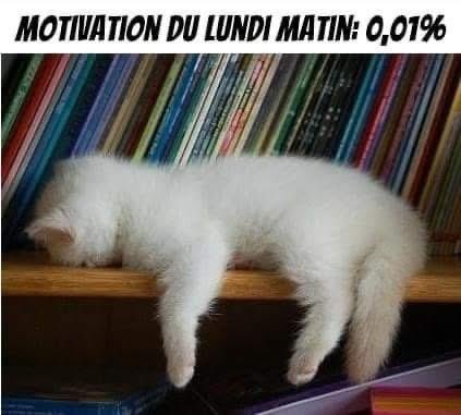 … 😊, bon début de semaine…
Si si je vais y arriver à me réveiller 🤣🤣 ☕️ +++✌🏻