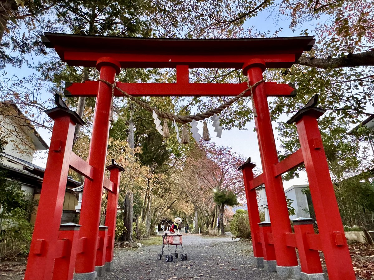 20618 (クソリプ不要💉コンプリート プロフ読め、変なの絡んでくんな on X