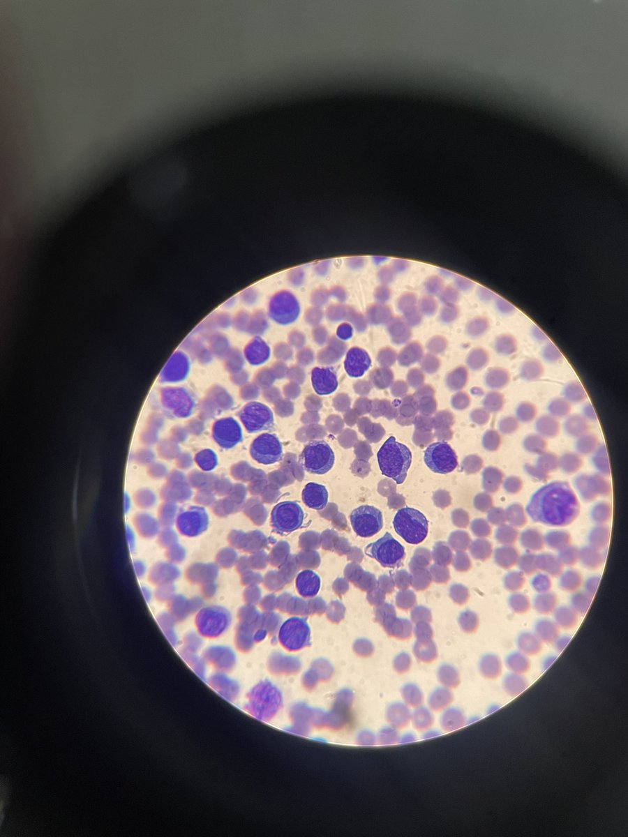 pathunderdoc's tweet image. 45 male