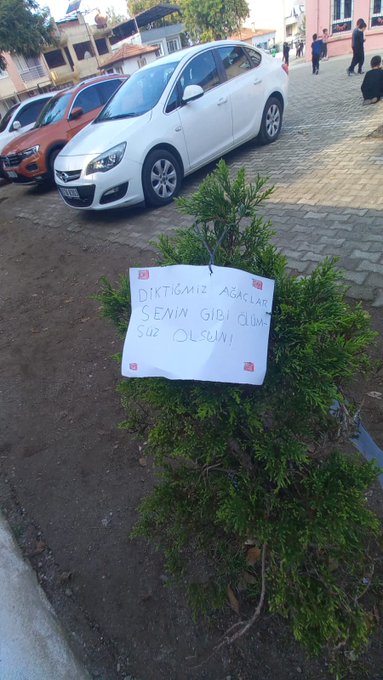 A group of adults and children stand near a white wall with green poles, one man in a suit holds an umbrella, a woman in a black hoodie and pants squats holding a shovel next to a girl in white outfit and pants who holds a shovel sticking into a dirt hole, another man in suit stands nearby, children in casual clothes observe. Several people including young adults and children in casual attire like hoodies and sneakers gather around a small planted sapling in dirt, one person pours water from a bottle onto the sapling, others hold shovels or stand watching. A small evergreen sapling planted in paved area near parked white and orange cars, a paper sign attached to it reads DİKİŞ ALİ ÇETİN KIZLARIN GÜCÜ in Turkish.
