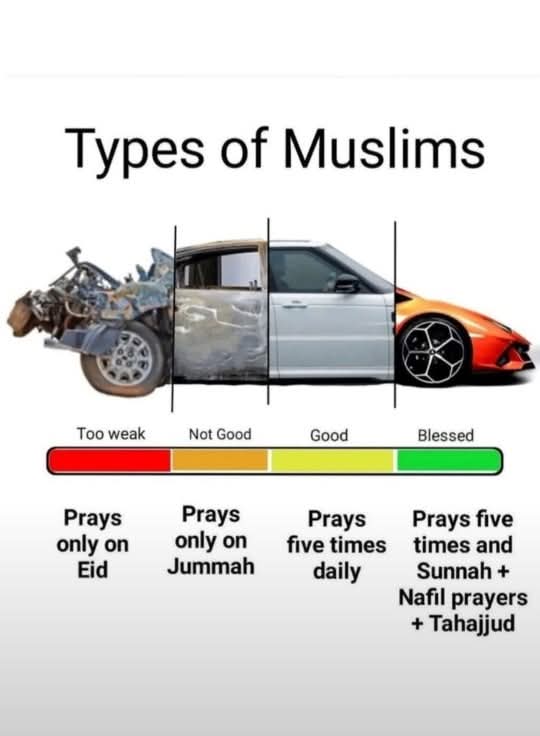 bashirhaido's tweet image. Pray as much as you desire your blessings count in your life.