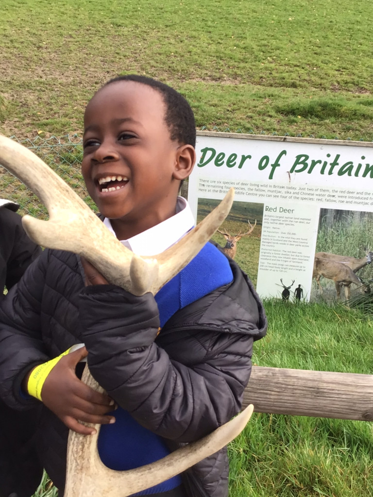 St Matthew's CE Primary School Redhill tweet media