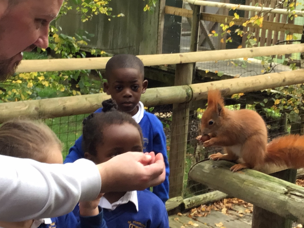 St Matthew's CE Primary School Redhill tweet media