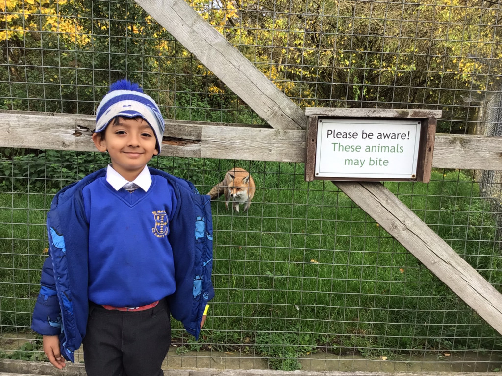 St Matthew's CE Primary School Redhill tweet media