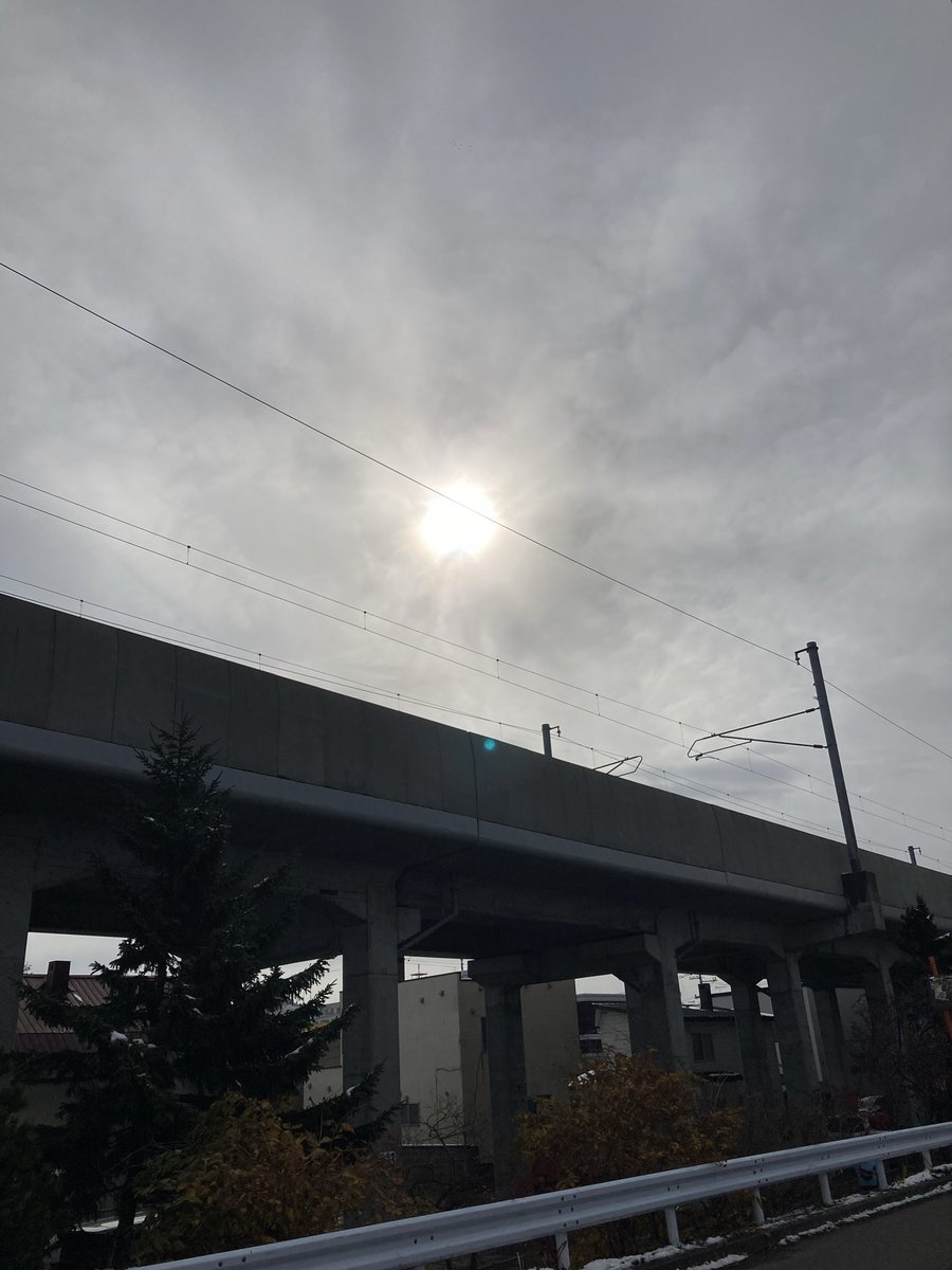 Good morning ☀️🕊️💕Afternoon 🍊
Evening 🍇 night ✨🦉