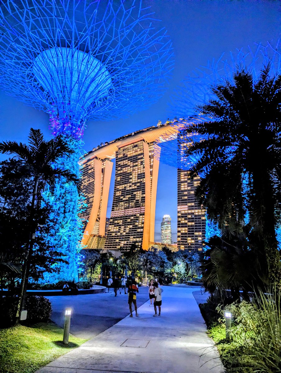gmt117's tweet photo. Noční procházka s modře svítícími stromy v Singapuru. Velmi hezké místo. https://t.co/vNrkf42AQD
