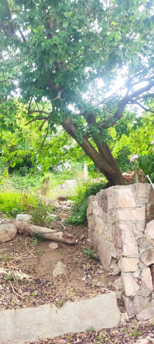 Alerta. Desde la 3 de la madrugada se producen tumultos e incidentes en calle Sta Rosa barrio Las Malvinas. Una pandilla de sujetos violentos intentaron tomar la zona.<a href="/PoliciaCbaOf/">Policía de Córdoba</a> <a href="/minsegcba/">Ministerio de Seguridad</a> <a href="/gobdecordoba/">Gobierno de Córdoba</a> <a href="/LAVOZcomar/">LAVOZcomar</a> <a href="/Cadena3Com/">Cadena 3 Argentina</a> <a href="/radiomitrecba/">Radio Mitre Córdoba</a> <a href="/CarlosPazVivo/">Carlos Paz Vivo</a>