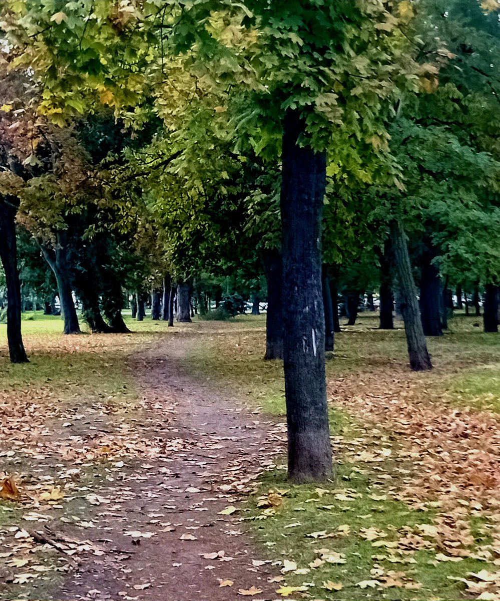 Катерина Галич tweet media