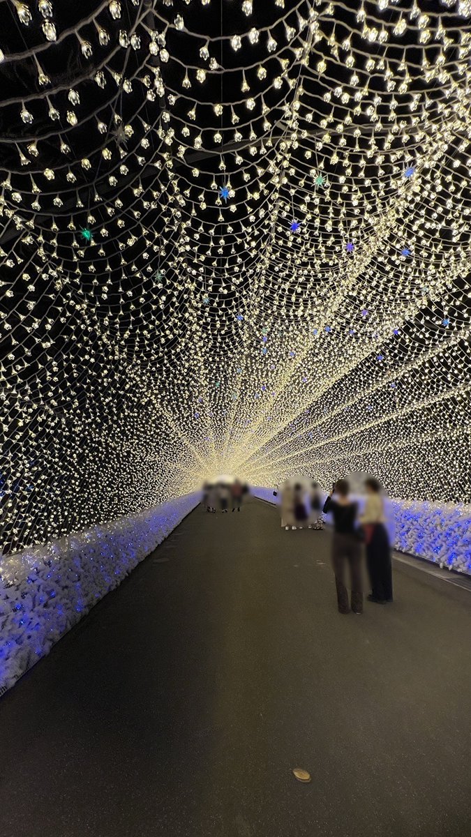 こちらは三重県のなばなの里💐
もうイルミネーションが映える季節になってきましたね✨
まだ寒暖差もあるので体調に気を付けていきましょう💪
#イルミネーション #なばなの里