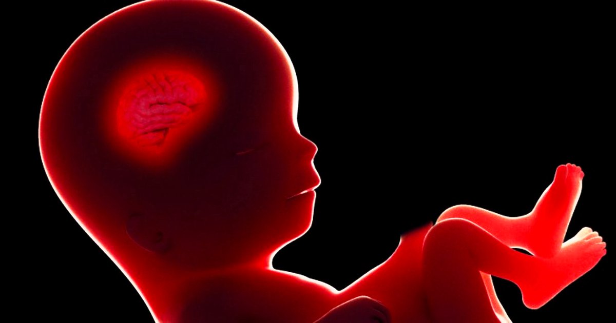 Unlikely_Buddha's tweet image. #Herasite and the New #Eugenics: The Ethical Quagmire of #Embryo Trait Selection