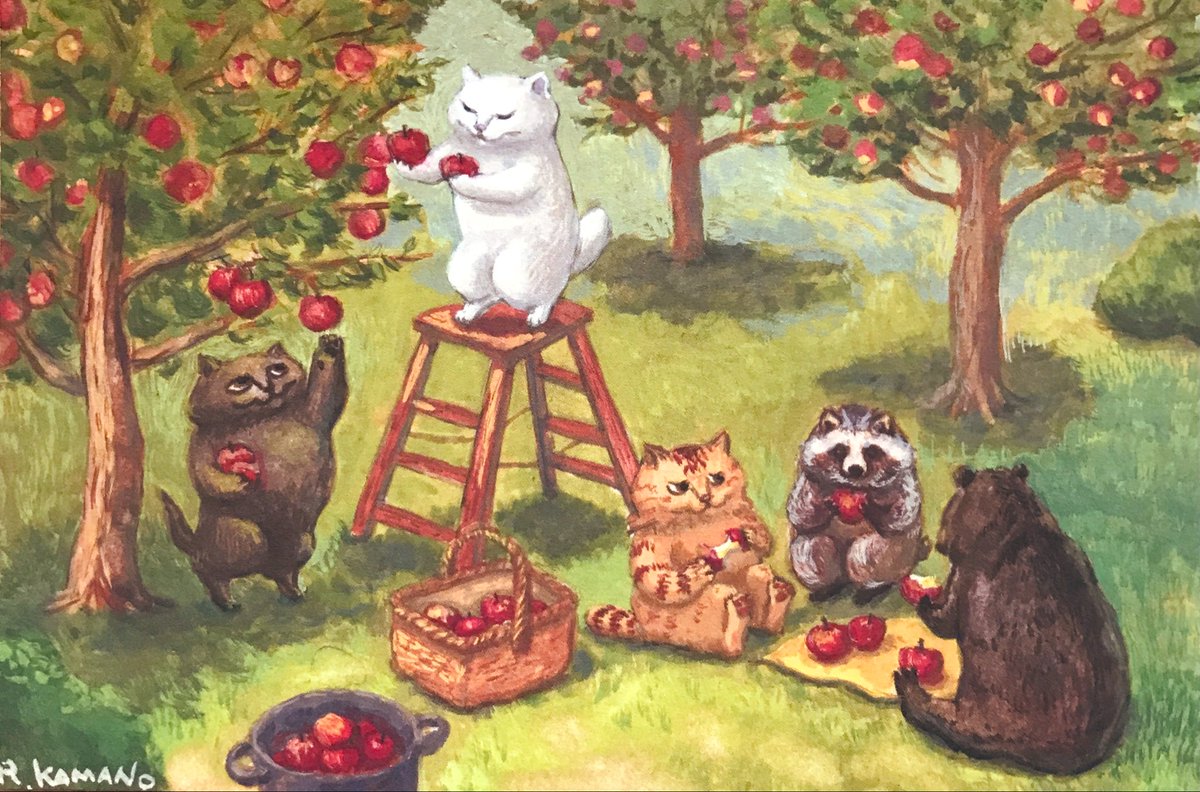 Eccentric cotton s (@666rockrock) / Posts / X