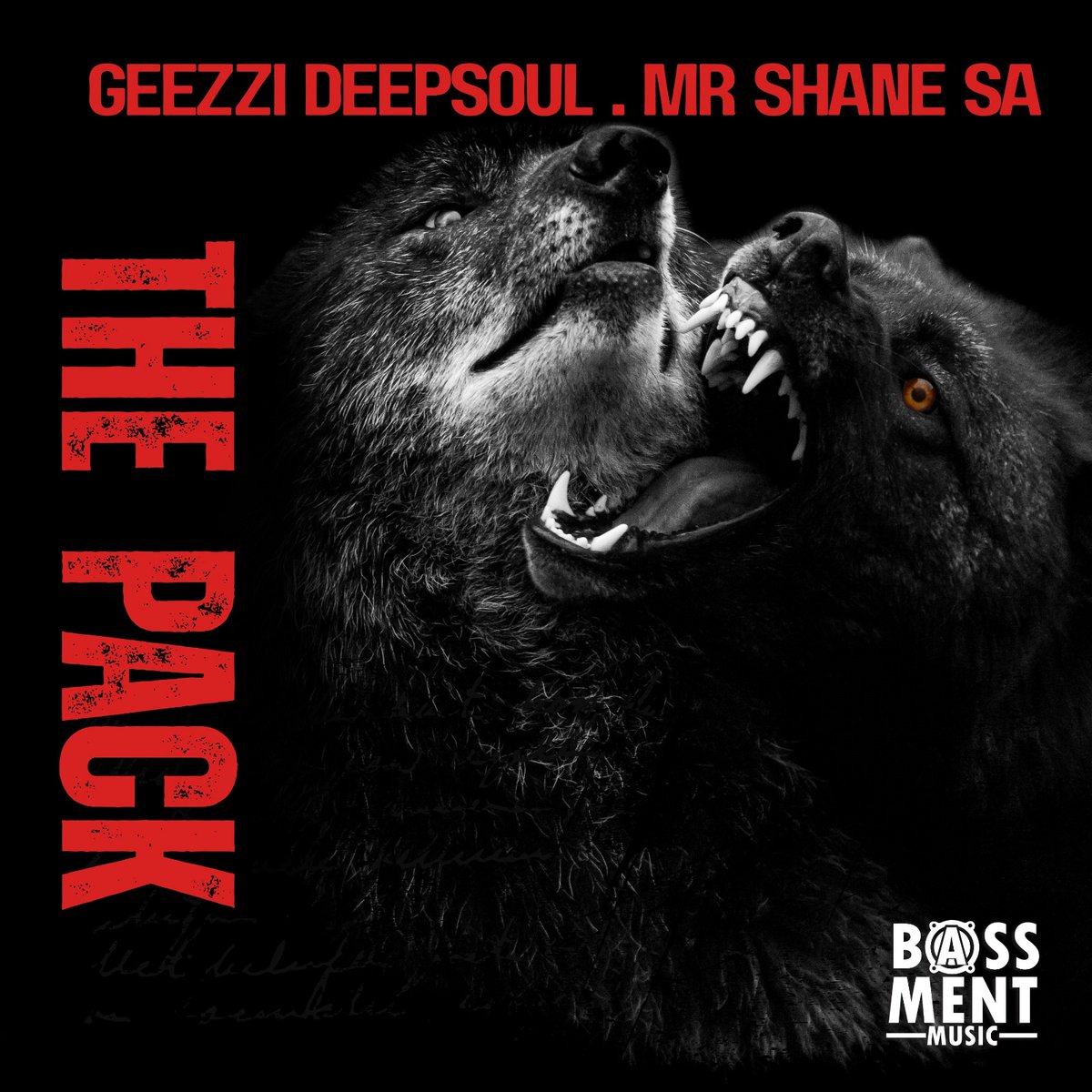 bassmentmusicsa's tweet image. Get Ready To Move With "The Pack"

@GeezziDeepSoul &amp;amp; @MrShaneSa1 Deliver a late night Deep House anthem 

Pre Order Now
🔌 @bandcamp

bassmentmusic.bandcamp.com/album/the-pack

RELEASE DATES

BANDCAMP - FRIDAY 14 NOVEMBER 2025
 
ALL STORES RELEASE

DATE - FRIDAY 21 NOVEMBER 2025.

#DeepHouse