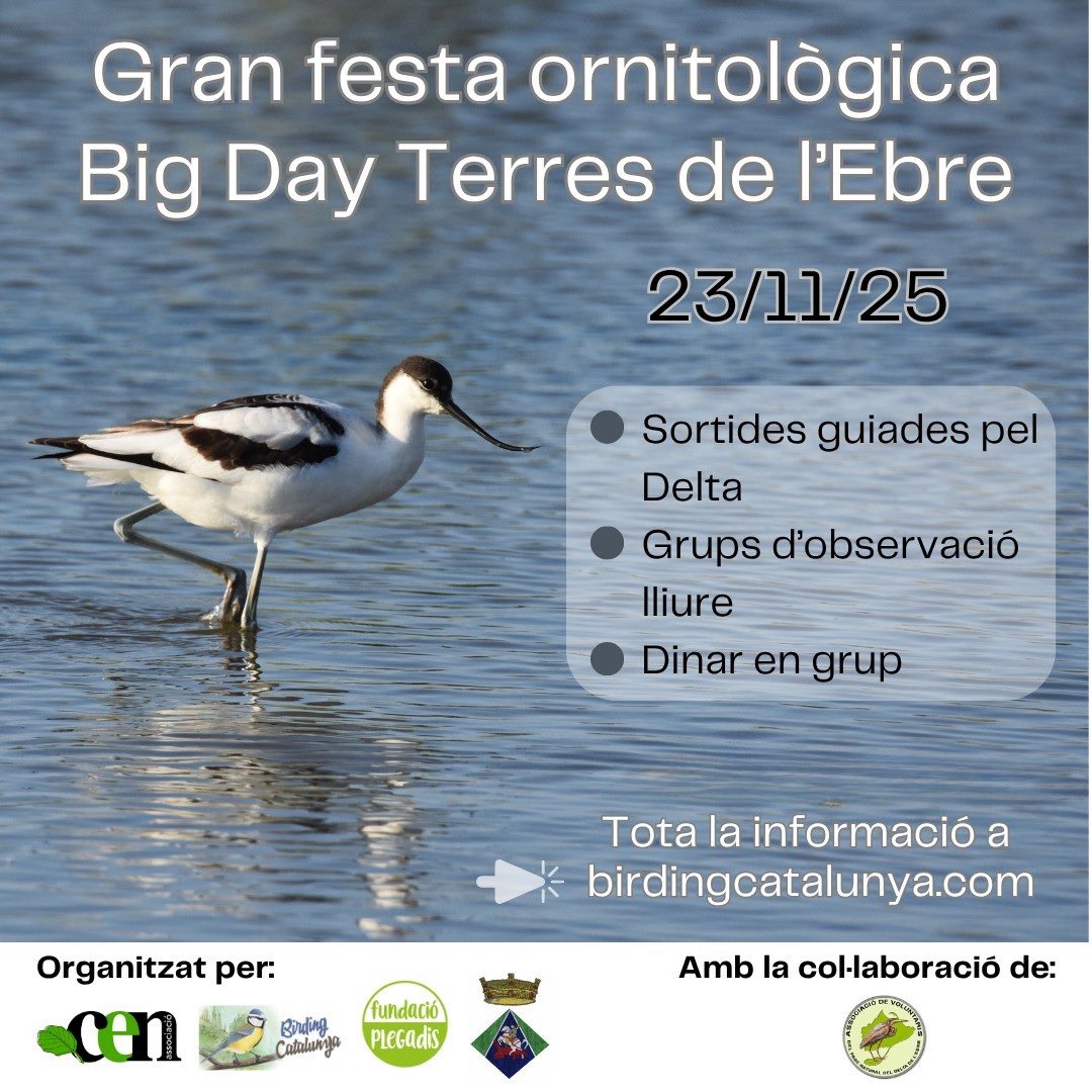 Ja tenim nova data pel Big Day Terres de l’Ebre!👏🏻👏🏻
No hi falteu 😜

Més info i inscripcions: birdingcatalunya.com/2025/09/ornito…