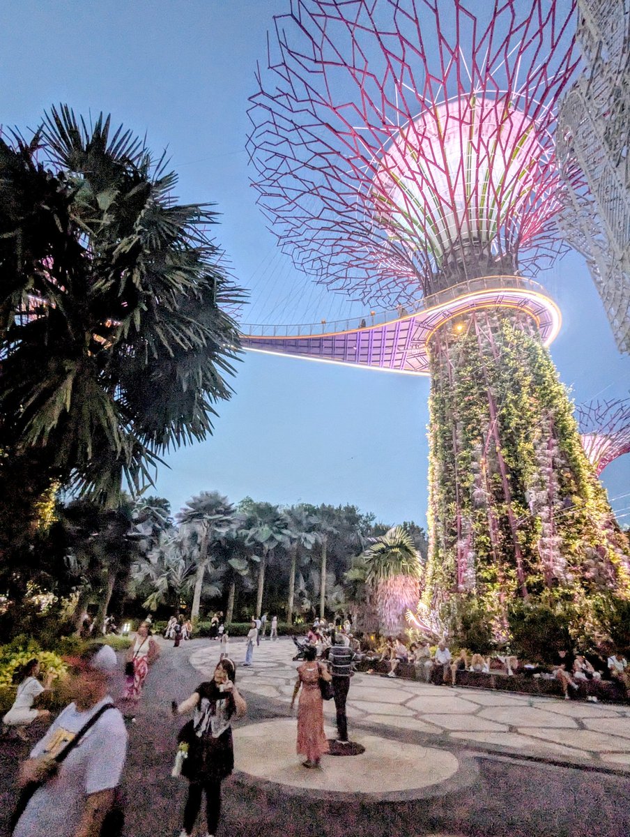 gmt117's tweet photo. The most magical place to visit in Singapore at night. https://t.co/svQEFUXErw