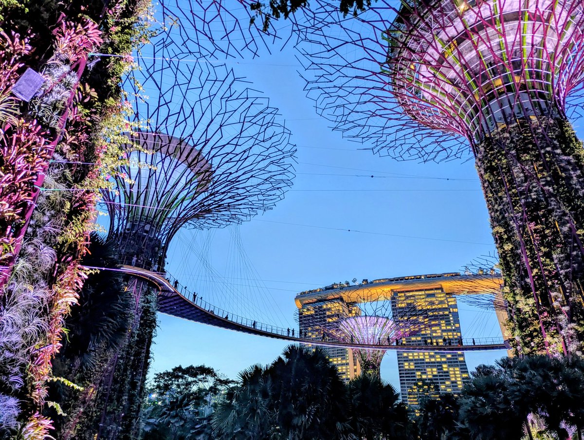 gmt117's tweet photo. The most magical place to visit in Singapore at night. https://t.co/svQEFUXErw