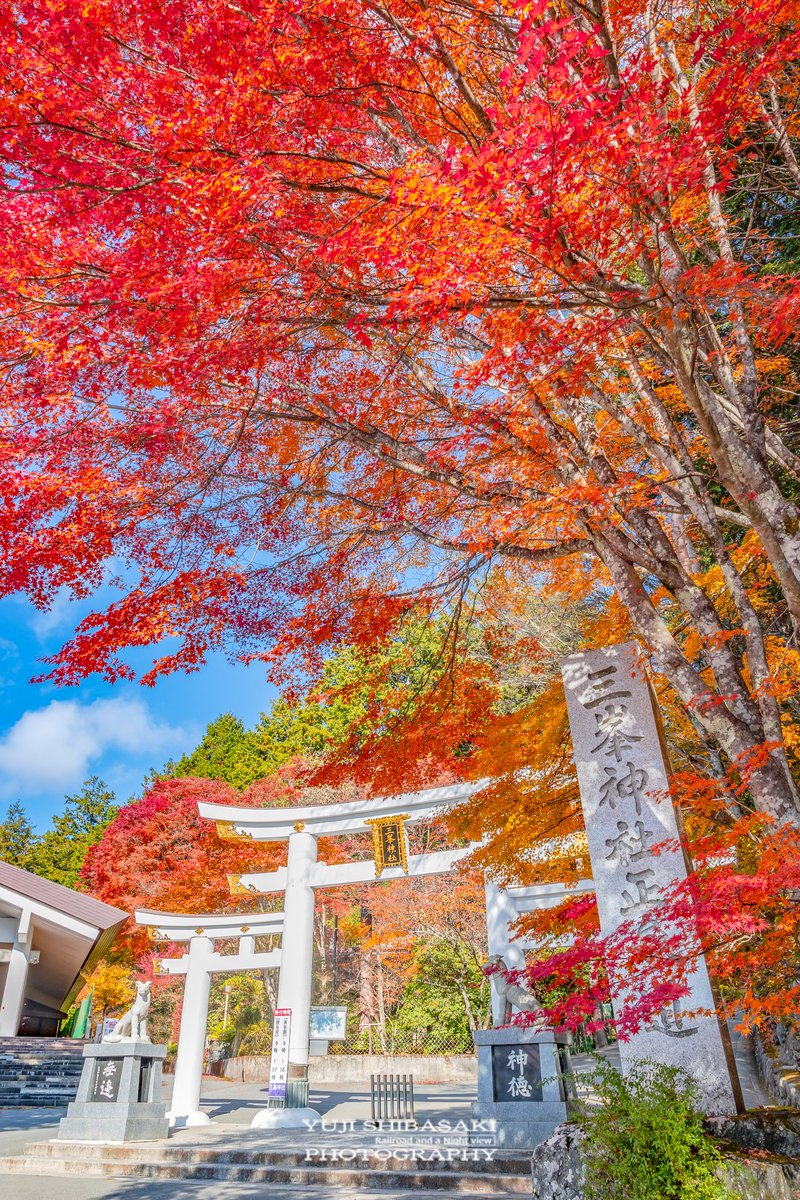 真っ赤に色付く奥秩父三峯神社の紅葉錦。