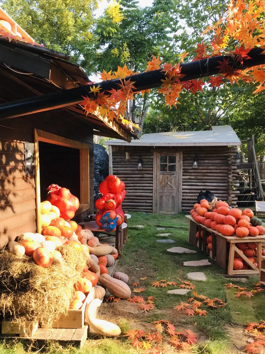 visit_wuhan's tweet image. Step into East Lake’s fairy-tale wonderland! Encounter cozy cottages, sweet market aromas, family fun, and healing moments. Wander, breathe fresh air, snap photos—soak up childlike joy!
#EastLakeWuhan #FairyTaleVibes #WuhanTravel #FamilyFun #HealingMoments