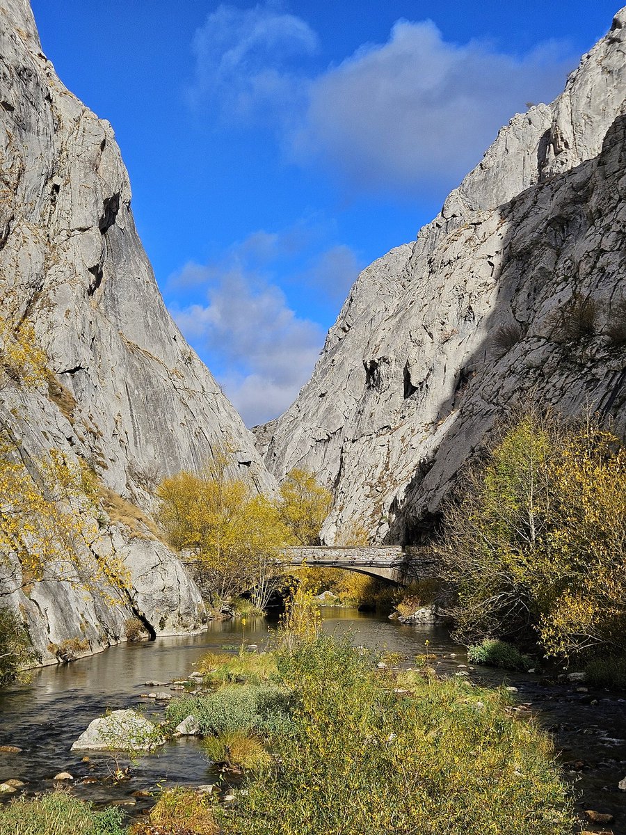 Hoces de Vegacervera formadas por el río Torío, un espacio natural protegido con formaciones geológicas impresionantes.

Sector Central de la Montaña Leonesa.