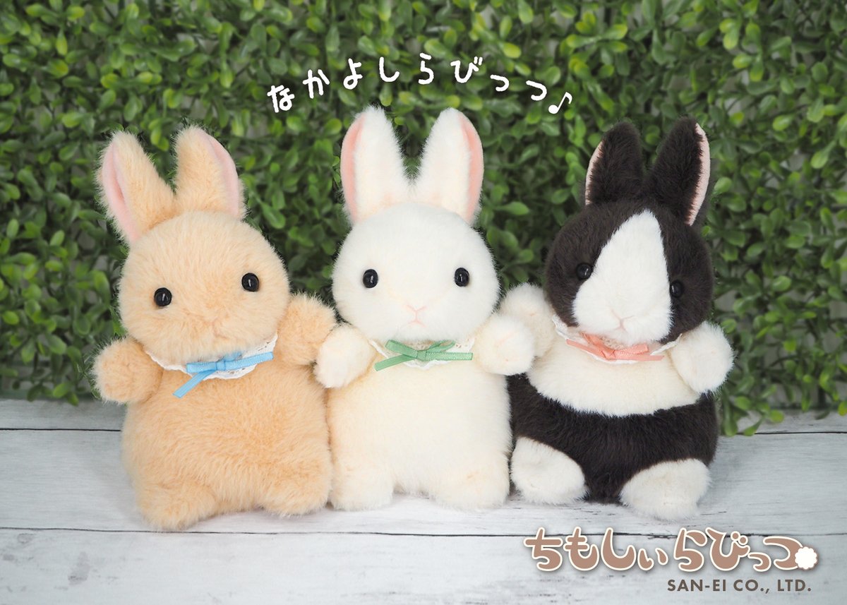 三英貿易株式会社 (@saneiboeki) / Posts / X